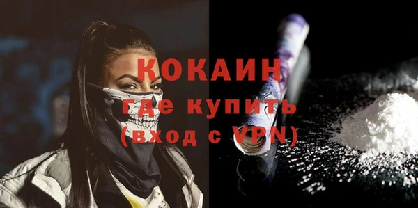 прущий лед Каменка