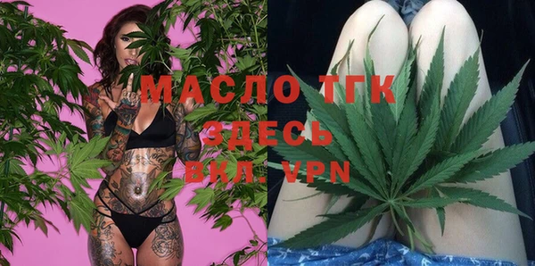 ешки Каменногорск
