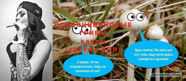 прущий лед Каменка