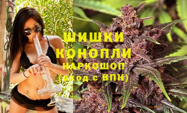 ешки Каменногорск